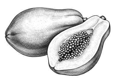 Imagen PNG para descargar